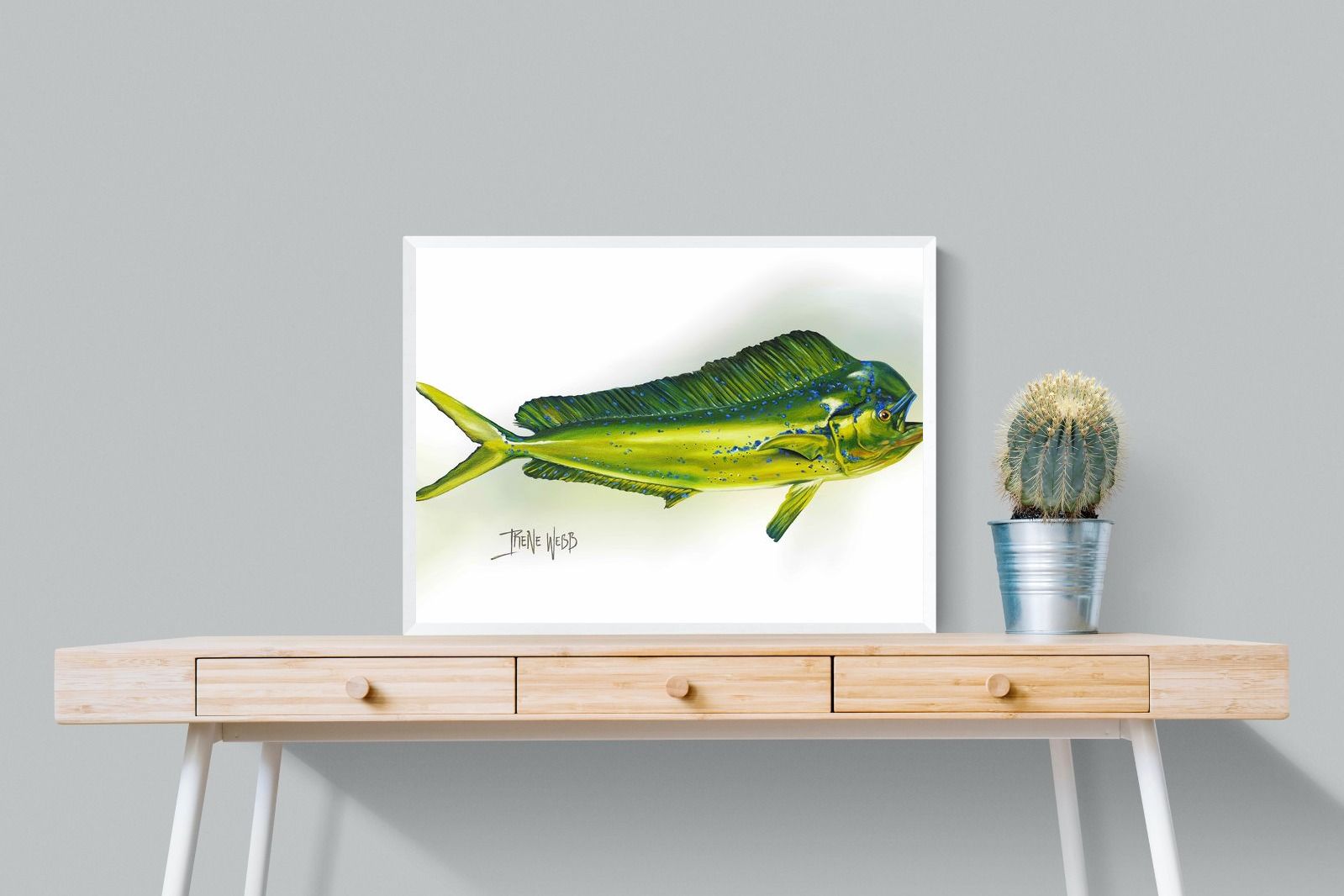 Mahi Mahi-Wall_Art-80 x 60cm-Mounted Canvas-White-Pixalot