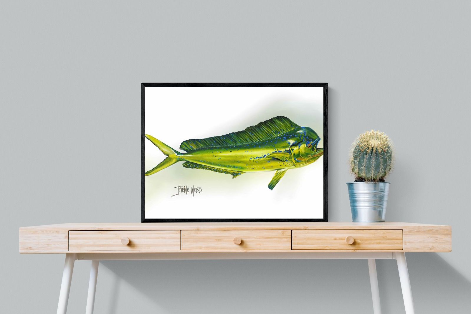 Mahi Mahi-Wall_Art-80 x 60cm-Mounted Canvas-Black-Pixalot