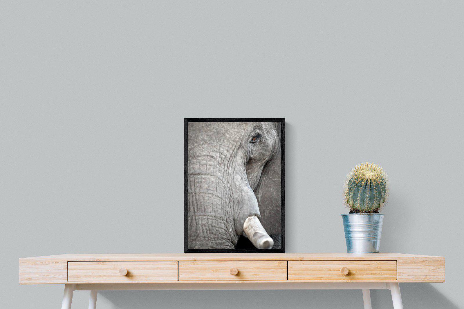 Matriarch-Wall_Art-45 x 60cm-Mounted Canvas-Black-Pixalot