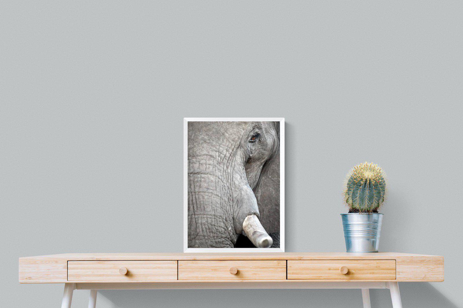 Matriarch-Wall_Art-45 x 60cm-Mounted Canvas-White-Pixalot