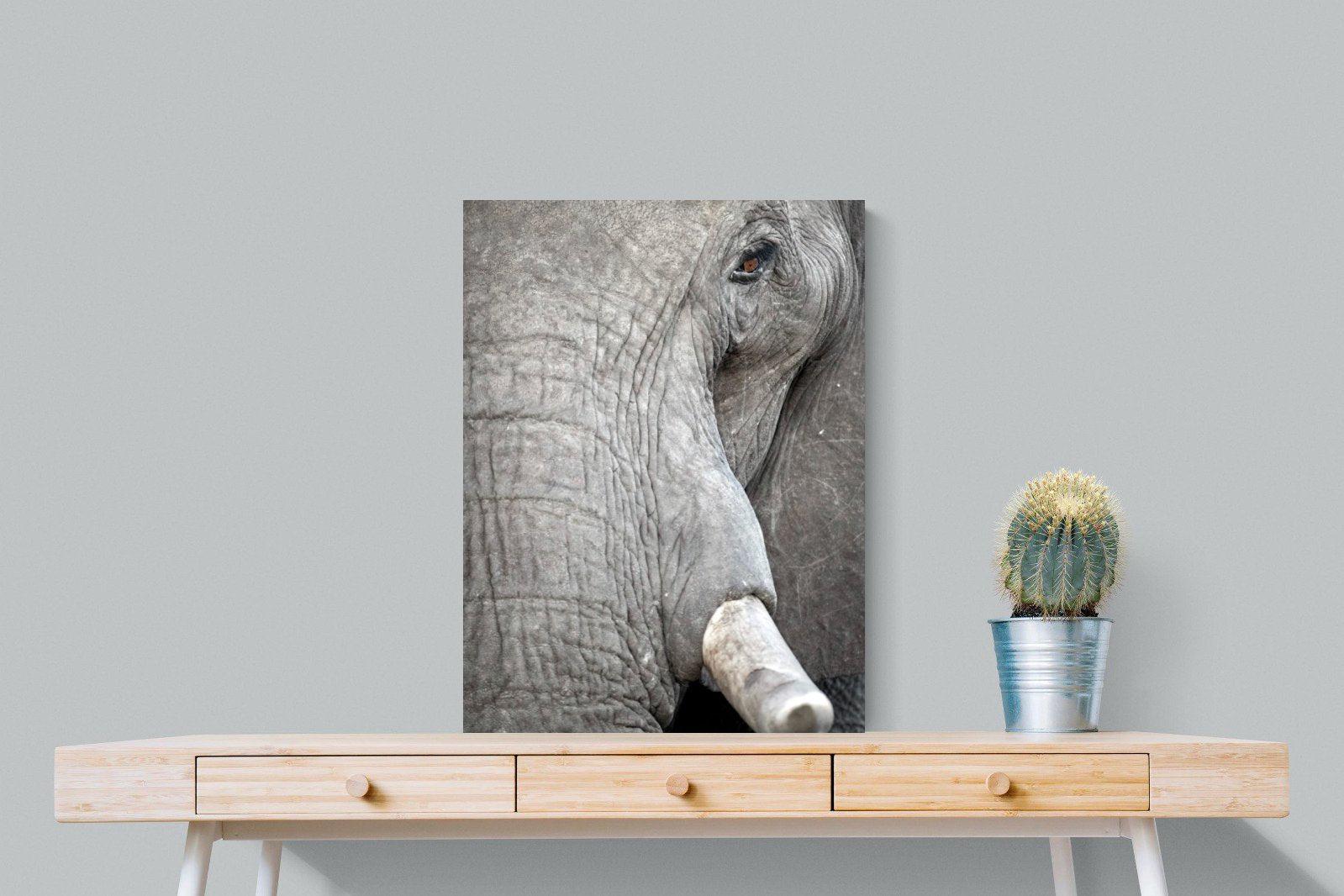 Matriarch-Wall_Art-60 x 80cm-Mounted Canvas-No Frame-Pixalot