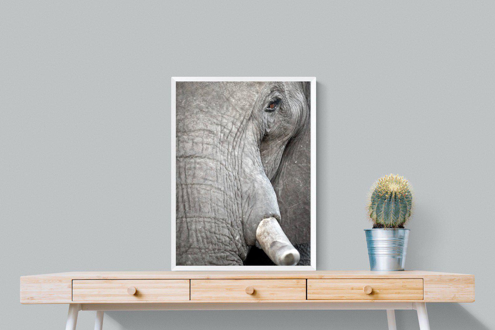 Matriarch-Wall_Art-60 x 80cm-Mounted Canvas-White-Pixalot