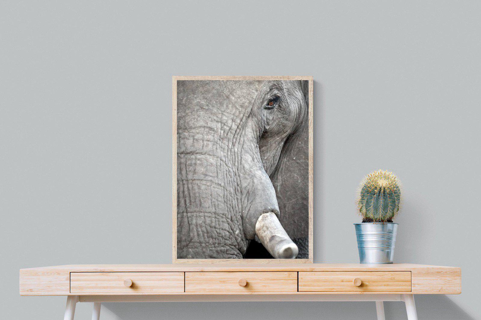 Matriarch-Wall_Art-60 x 80cm-Mounted Canvas-Wood-Pixalot