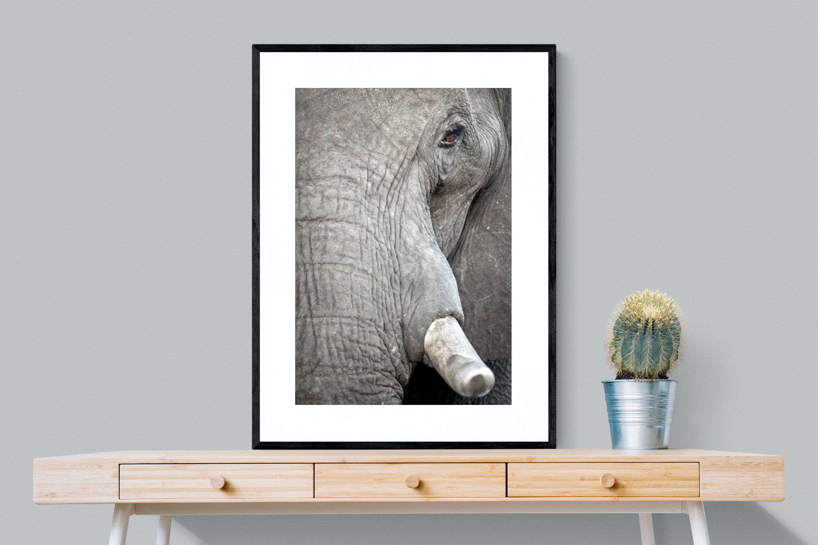 Matriarch-Wall_Art-75 x 100cm-Framed Print-Black-Pixalot