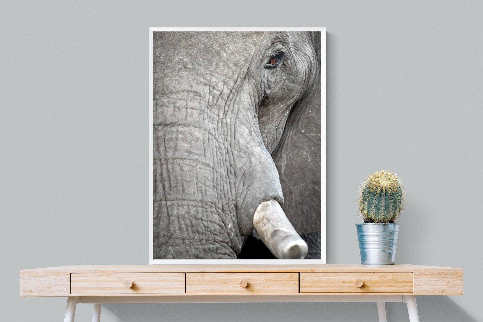 Matriarch-Wall_Art-75 x 100cm-Mounted Canvas-White-Pixalot