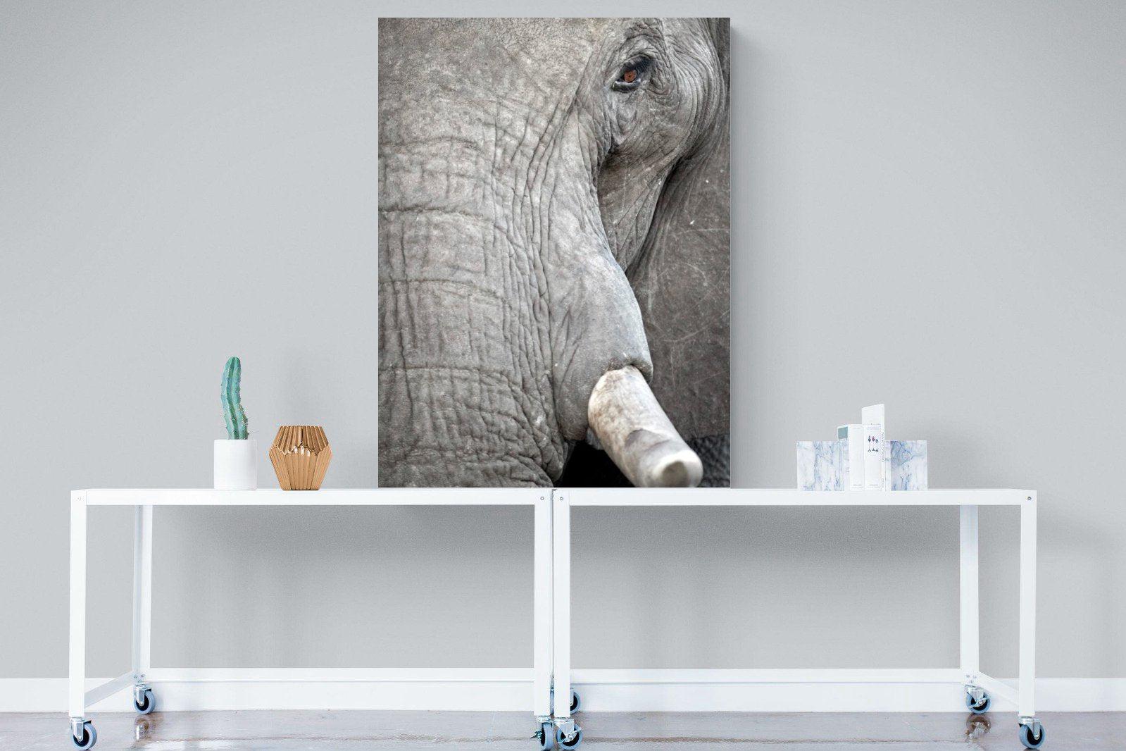 Matriarch-Wall_Art-90 x 120cm-Mounted Canvas-No Frame-Pixalot