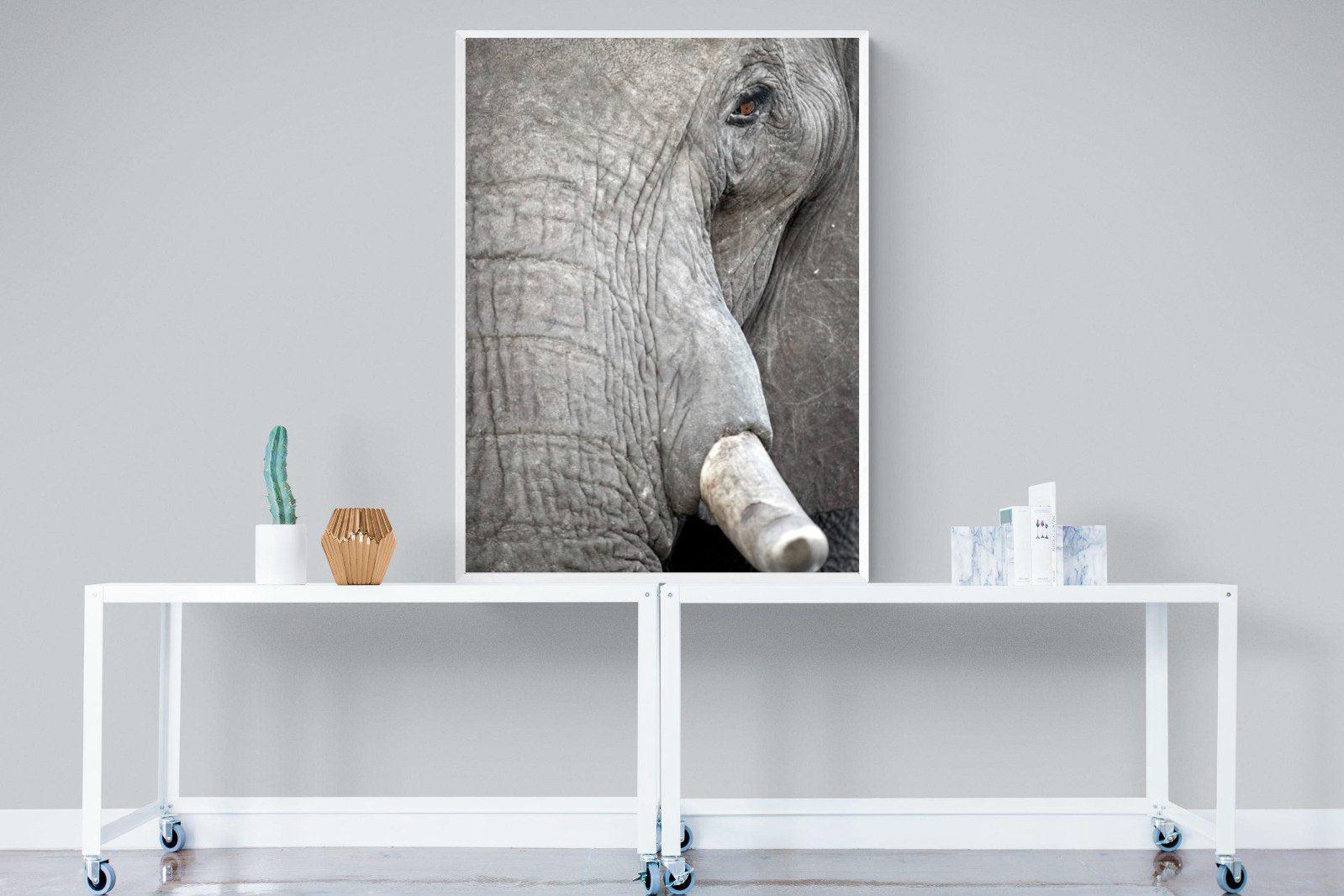 Matriarch-Wall_Art-90 x 120cm-Mounted Canvas-White-Pixalot