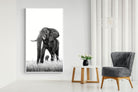 Mighty-Wall_Art-130 x 220cm-Mounted Canvas-White-Pixalot