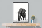 Mighty-Wall_Art-75 x 100cm-Mounted Canvas-Black-Pixalot