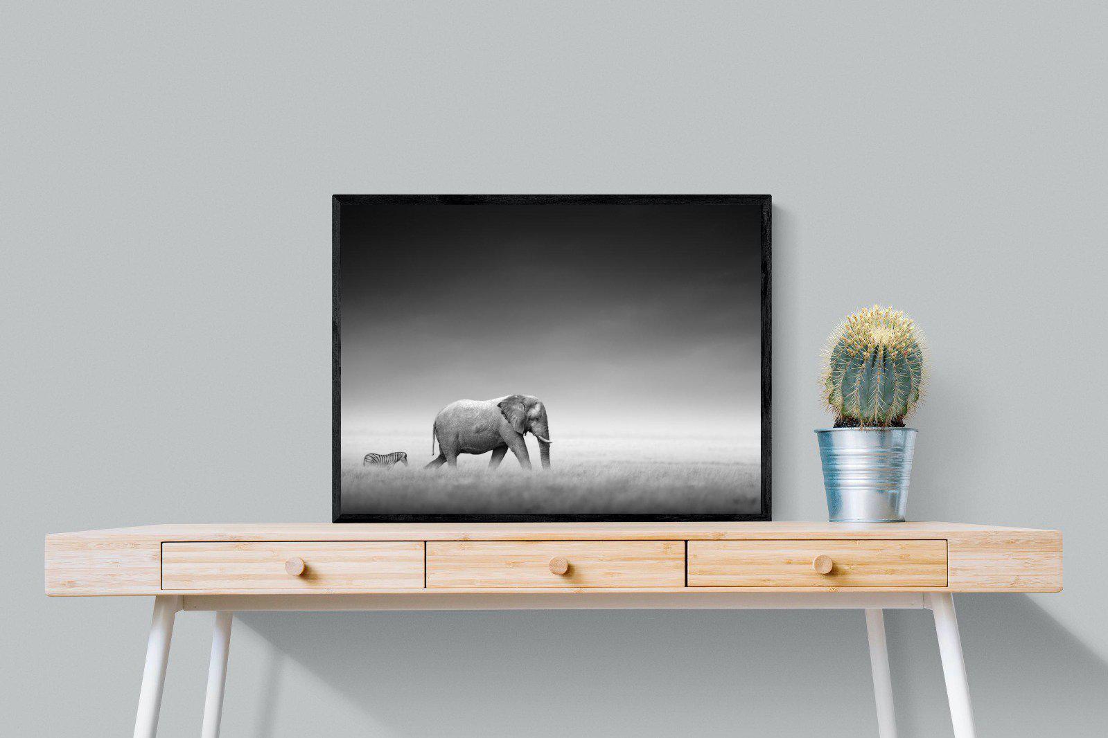 Migration-Wall_Art-80 x 60cm-Mounted Canvas-Black-Pixalot