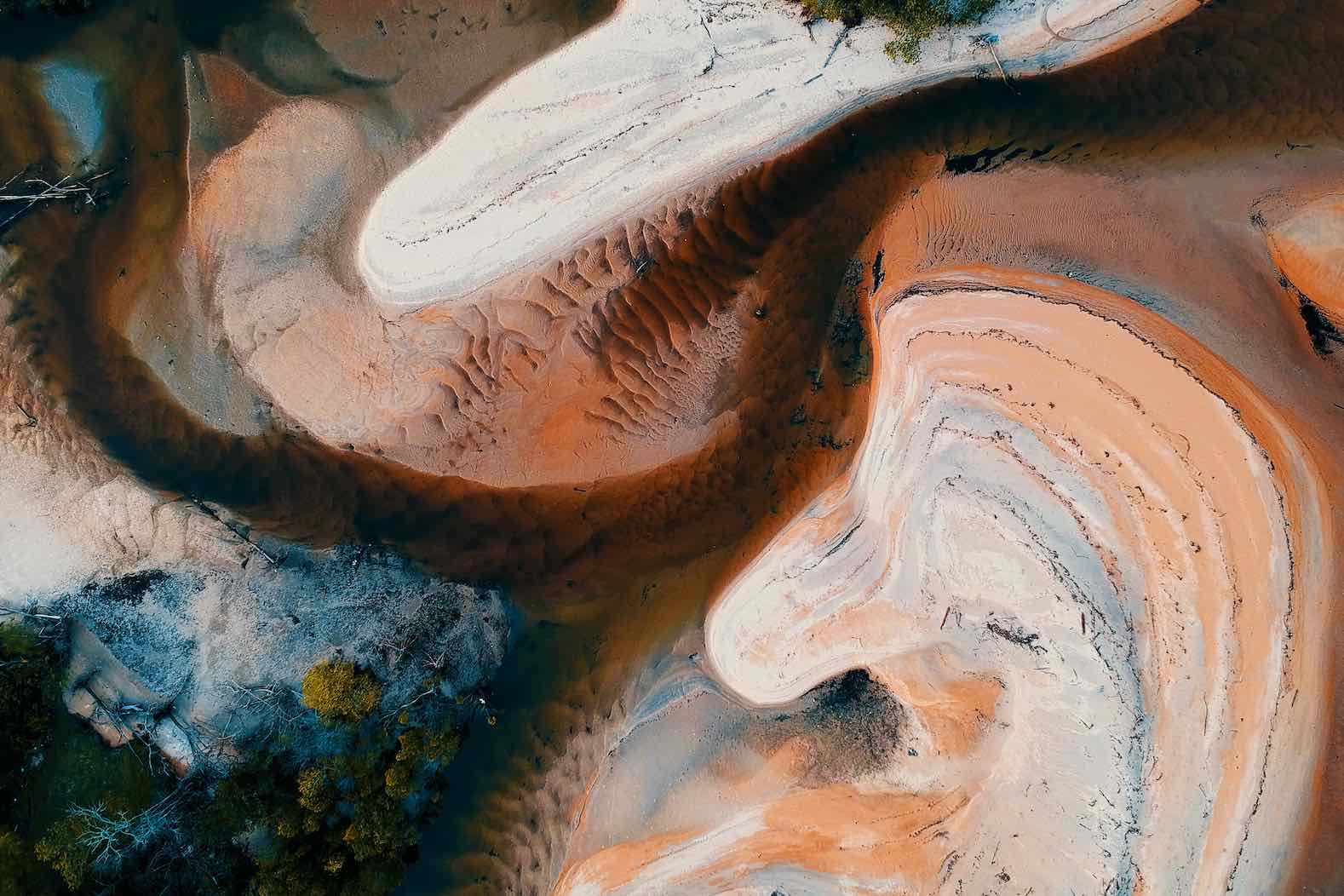 Nature's Swirl-Wall_Art-Pixalot