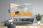 Ngorongoro Ele-Wall_Art-220 x 130cm-Mounted Canvas-No Frame-Pixalot