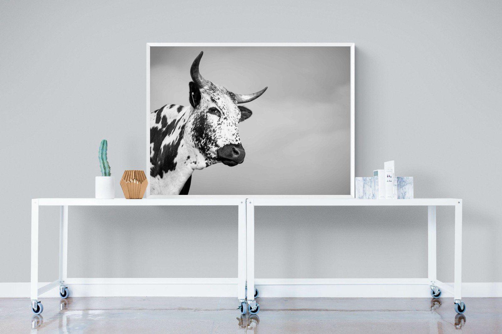Nguni Bull-Wall_Art-120 x 90cm-Mounted Canvas-White-Pixalot