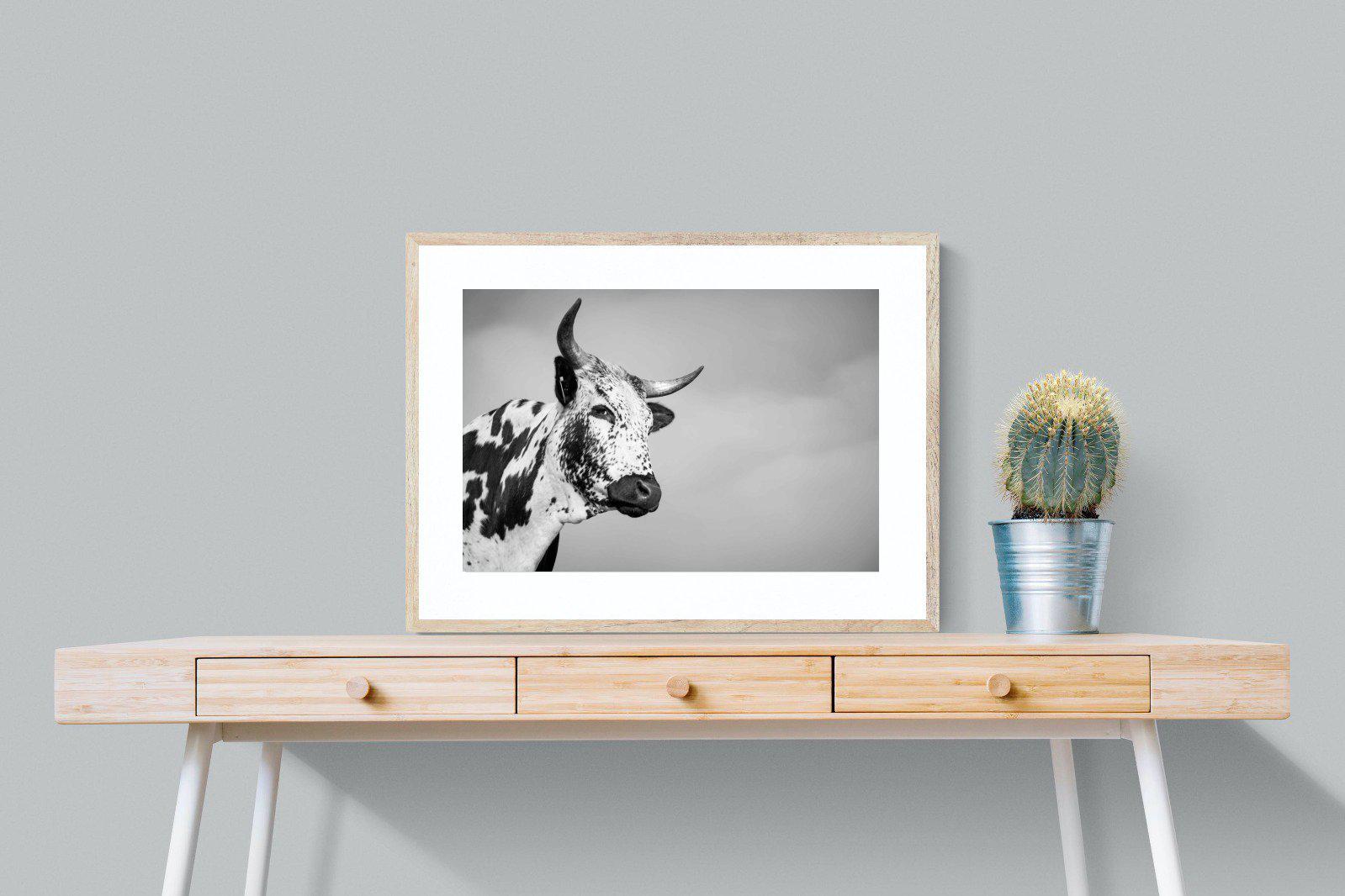 Nguni Bull-Wall_Art-80 x 60cm-Framed Print-Wood-Pixalot