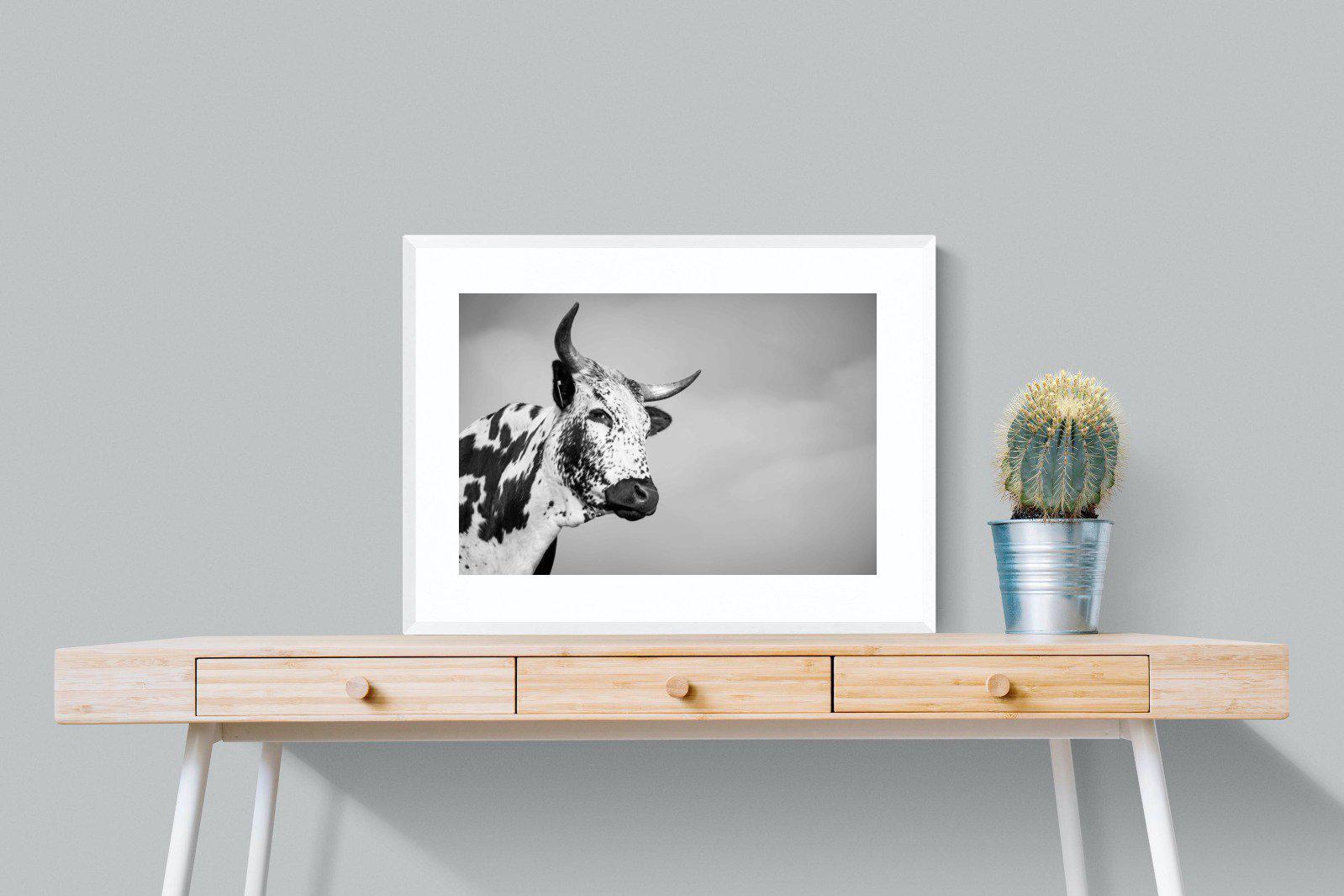 Nguni Bull-Wall_Art-80 x 60cm-Framed Print-White-Pixalot