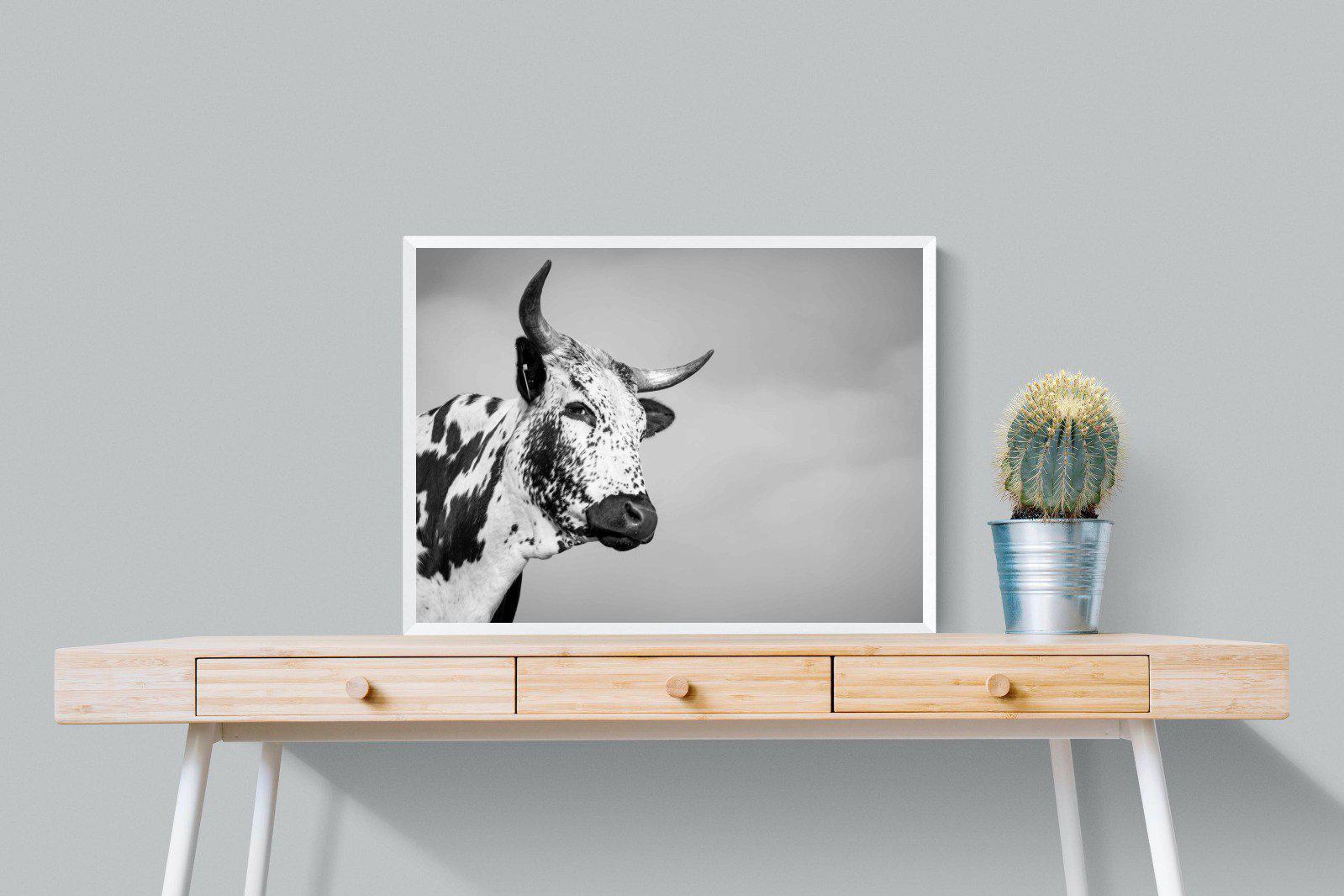 Nguni Bull-Wall_Art-80 x 60cm-Mounted Canvas-White-Pixalot