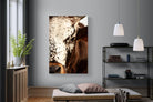Nguni Close-Wall_Art-120 x 180cm-Mounted Canvas-No Frame-Pixalot