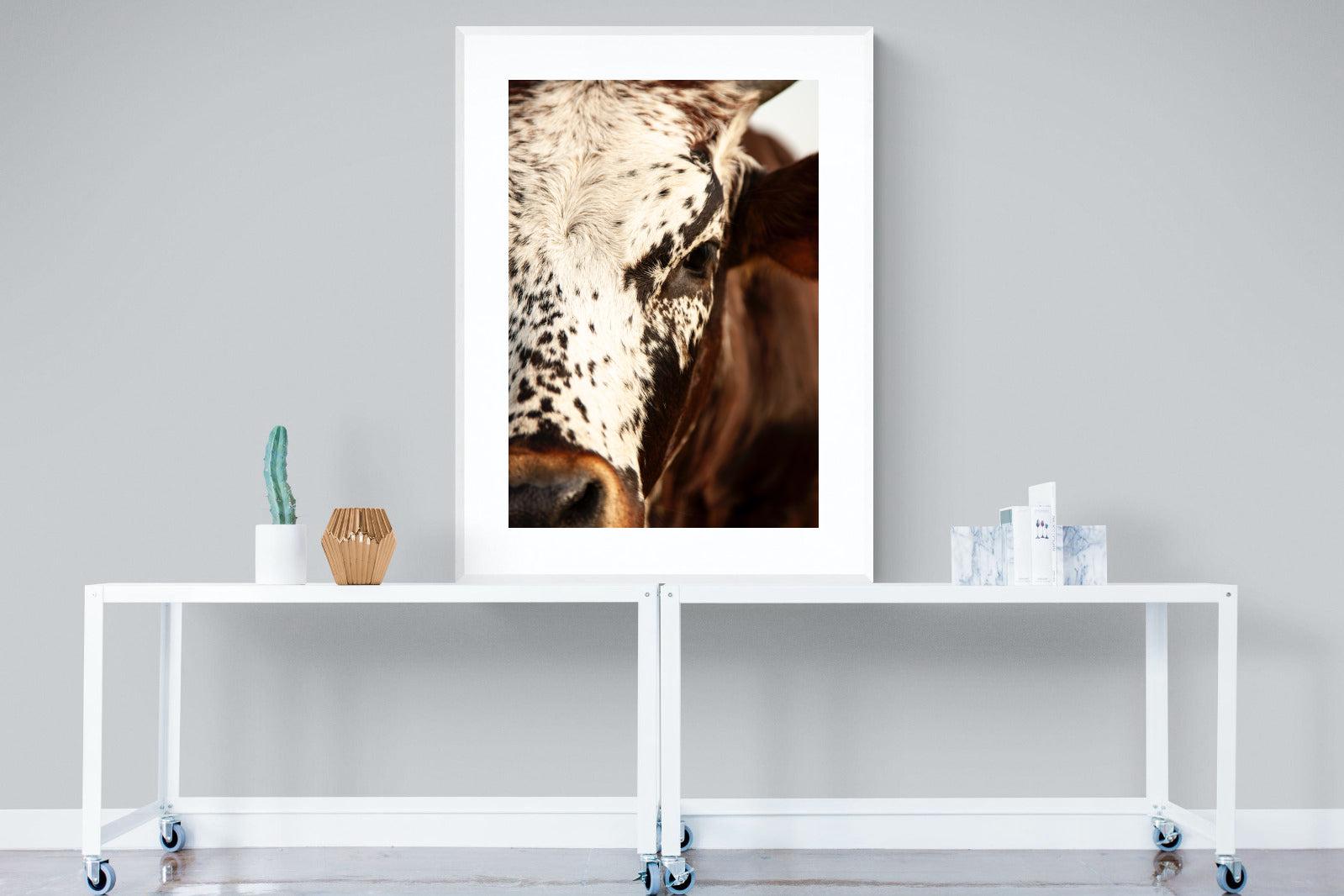 Nguni Close-Wall_Art-90 x 120cm-Framed Print-White-Pixalot