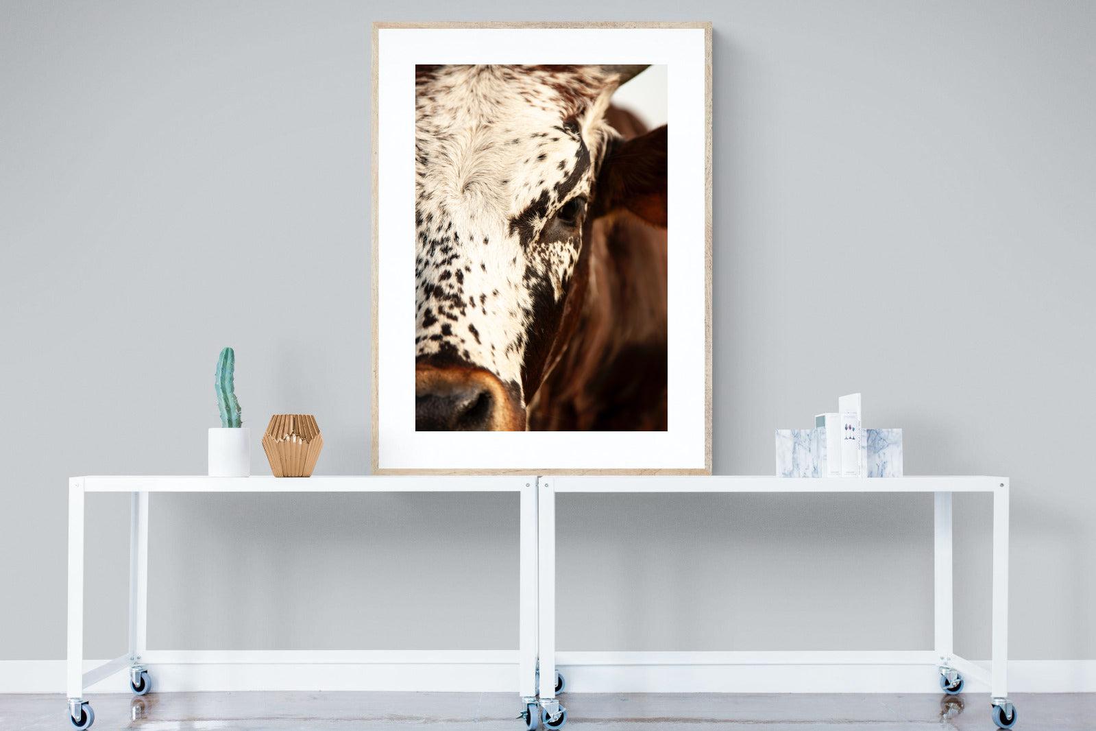 Nguni Close-Wall_Art-90 x 120cm-Framed Print-Wood-Pixalot