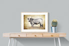Nguni Ox-Wall_Art-80 x 60cm-Framed Print-Wood-Pixalot