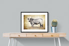 Nguni Ox-Wall_Art-80 x 60cm-Framed Print-Black-Pixalot