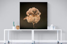 Not An Early Bird-Wall_Art-120 x 120cm-Mounted Canvas-Black-Pixalot