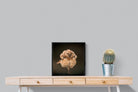 Not An Early Bird-Wall_Art-50 x 50cm-Mounted Canvas-Black-Pixalot