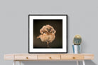 Not An Early Bird-Wall_Art-80 x 80cm-Framed Print-Black-Pixalot