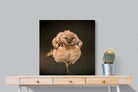 Not An Early Bird-Wall_Art-80 x 80cm-Mounted Canvas-No Frame-Pixalot