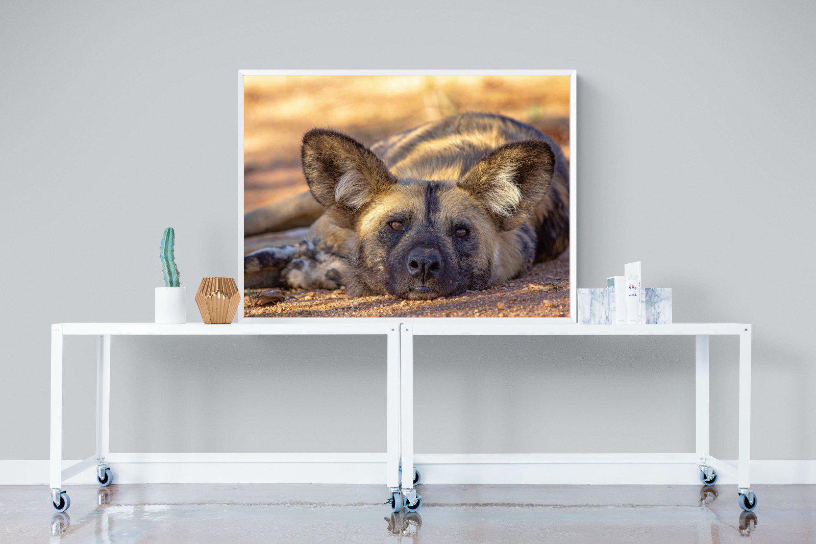 Not So Wild Dog-Wall_Art-120 x 90cm-Mounted Canvas-White-Pixalot