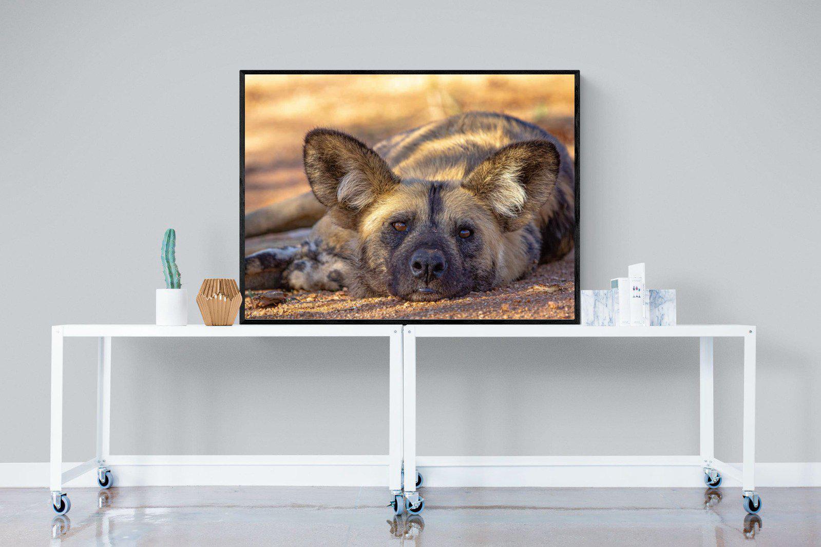 Not So Wild Dog-Wall_Art-120 x 90cm-Mounted Canvas-Black-Pixalot