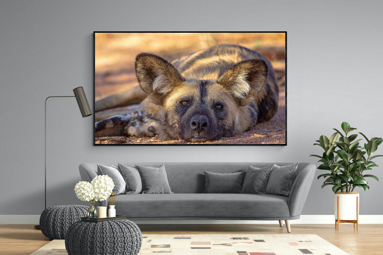 Not So Wild Dog-Wall_Art-220 x 130cm-Mounted Canvas-Black-Pixalot