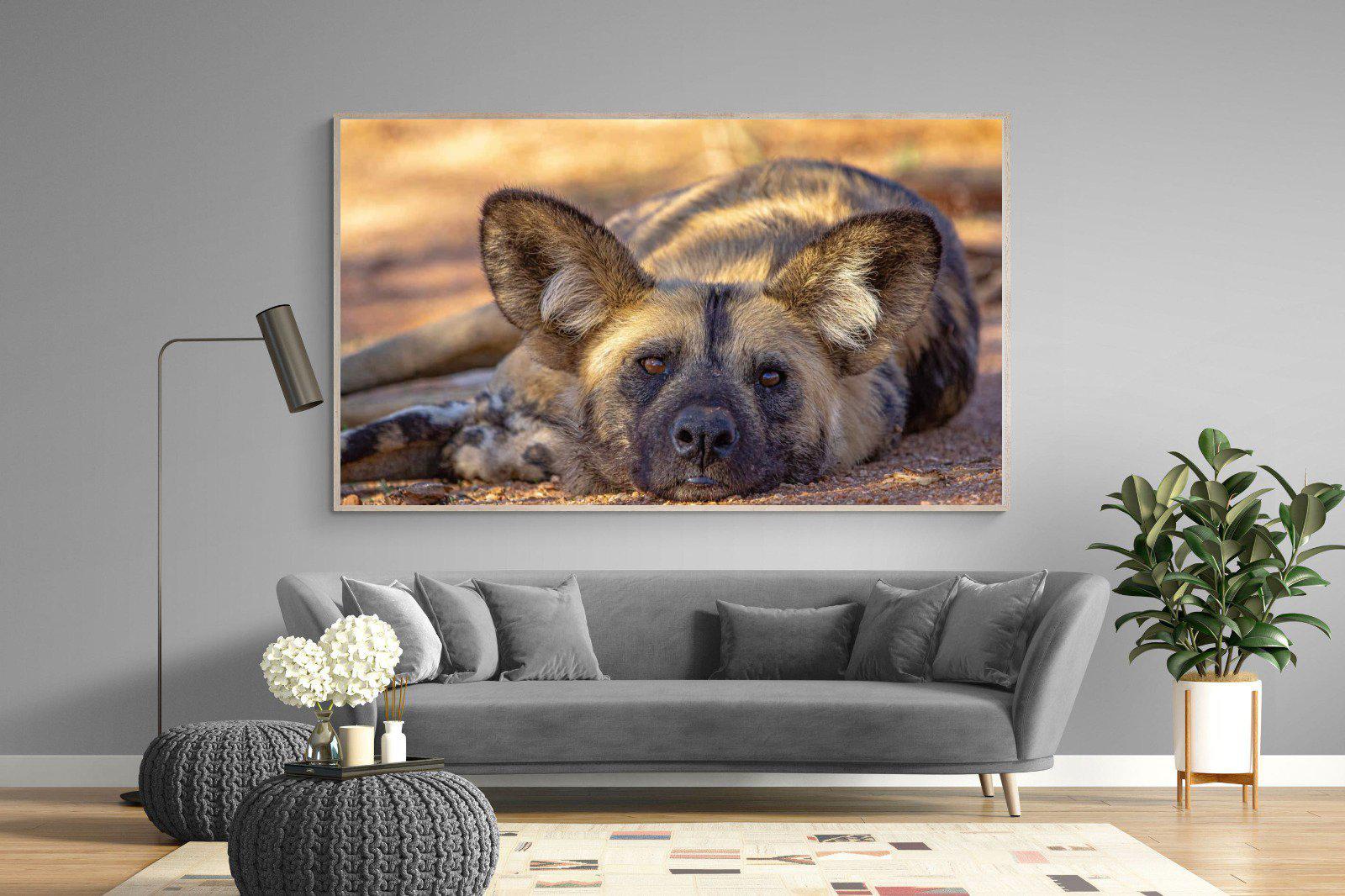 Not So Wild Dog-Wall_Art-220 x 130cm-Mounted Canvas-Wood-Pixalot