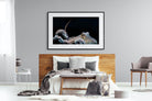 Octopus-Wall_Art-150 x 100cm-Framed Print-Black-Pixalot
