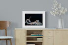 Octopus-Wall_Art-60 x 45cm-Framed Print-White-Pixalot