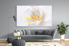 Orchid-Wall_Art-220 x 130cm-Mounted Canvas-No Frame-Pixalot