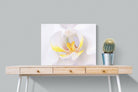 Orchid-Wall_Art-80 x 60cm-Mounted Canvas-No Frame-Pixalot
