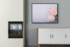 Pair of Proteas-Wall_Art-100 x 75cm-Mounted Canvas-Black-Pixalot
