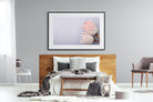 Pair of Proteas-Wall_Art-150 x 100cm-Framed Print-Black-Pixalot