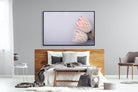 Pair of Proteas-Wall_Art-150 x 100cm-Mounted Canvas-Black-Pixalot