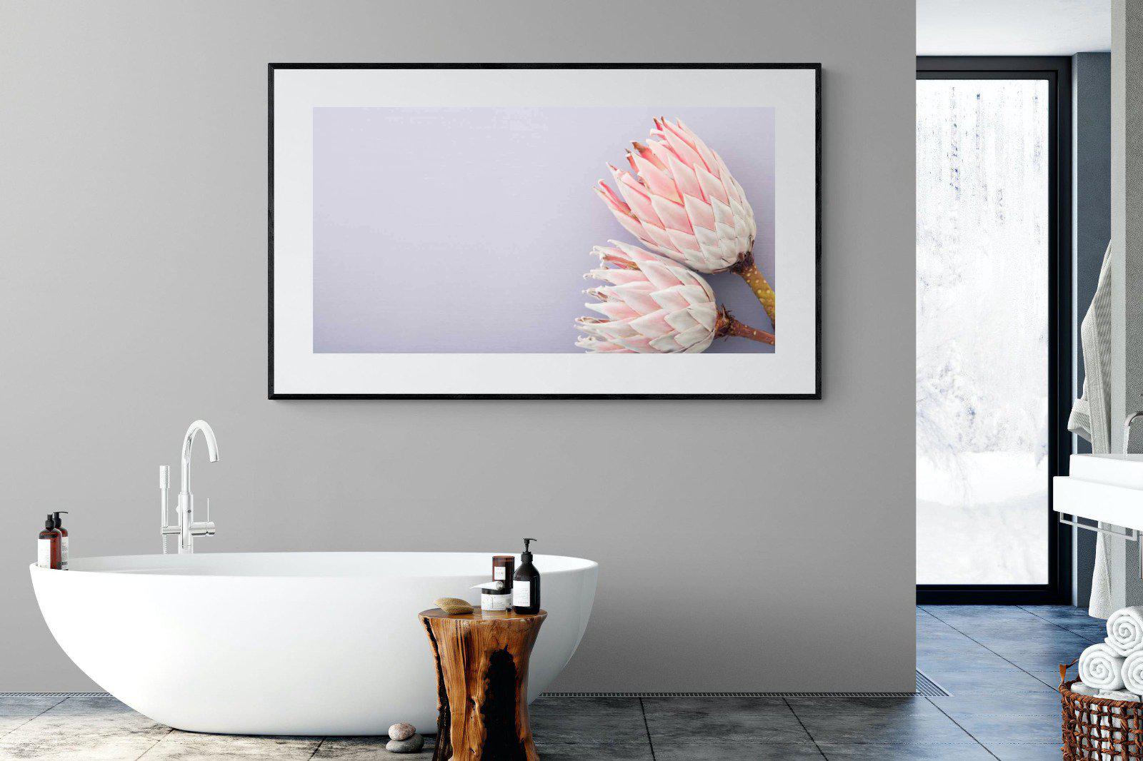 Pair of Proteas-Wall_Art-180 x 110cm-Framed Print-Black-Pixalot