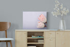 Pair of Proteas-Wall_Art-60 x 45cm-Mounted Canvas-No Frame-Pixalot