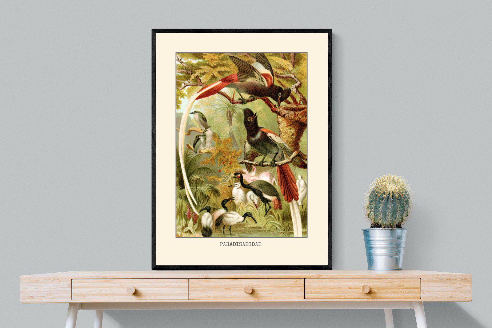 Paradise Flycatchers Etching-Wall_Art-75 x 100cm-Mounted Canvas-Black-Pixalot