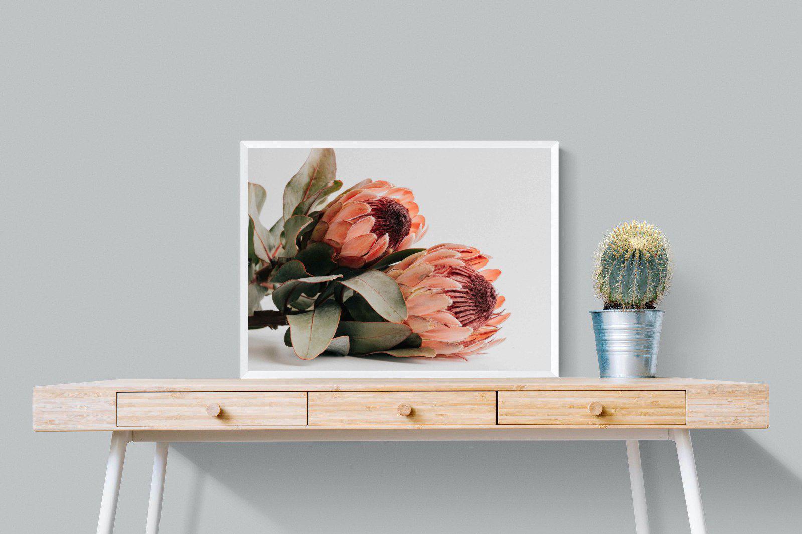 Peachy Proteas-Wall_Art-80 x 60cm-Mounted Canvas-White-Pixalot