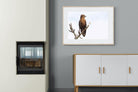 Perched-Wall_Art-100 x 75cm-Framed Print-Wood-Pixalot
