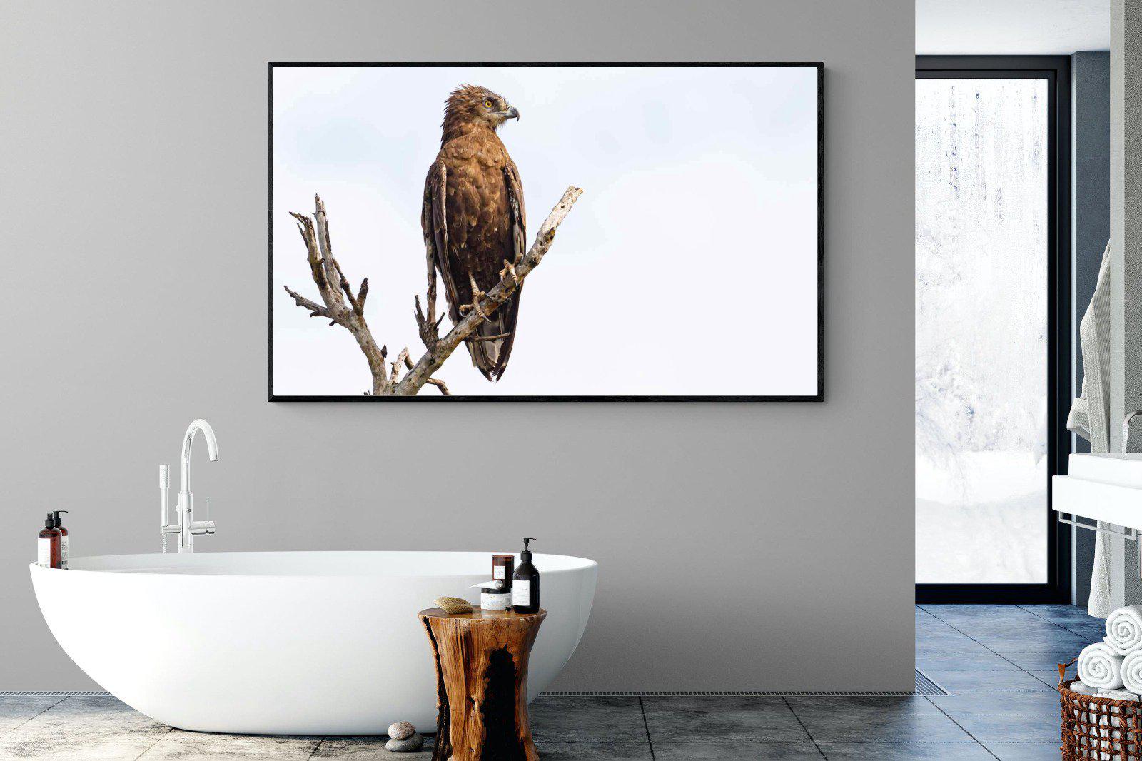 Perched-Wall_Art-180 x 110cm-Mounted Canvas-Black-Pixalot