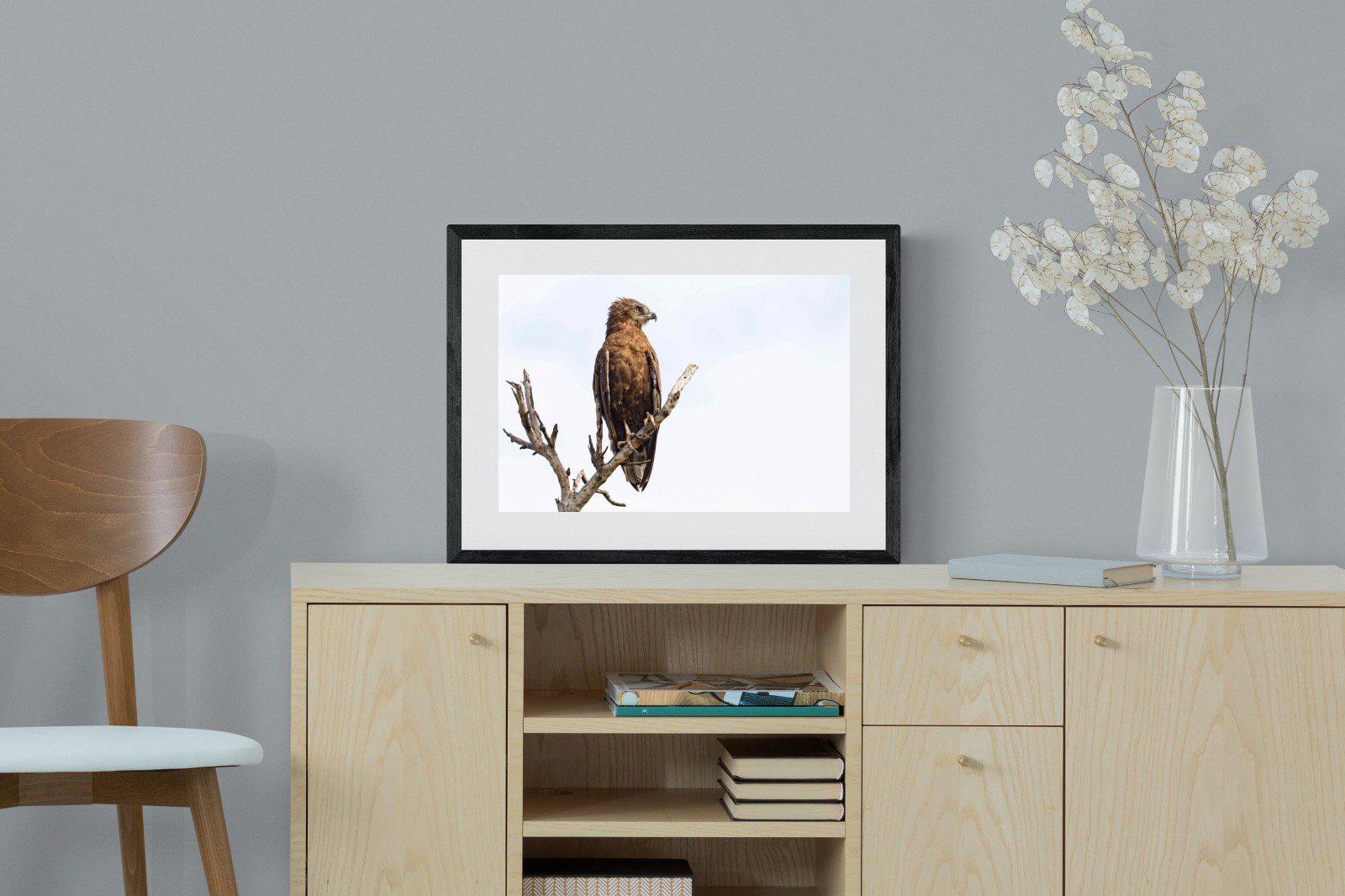 Perched-Wall_Art-60 x 45cm-Framed Print-Black-Pixalot