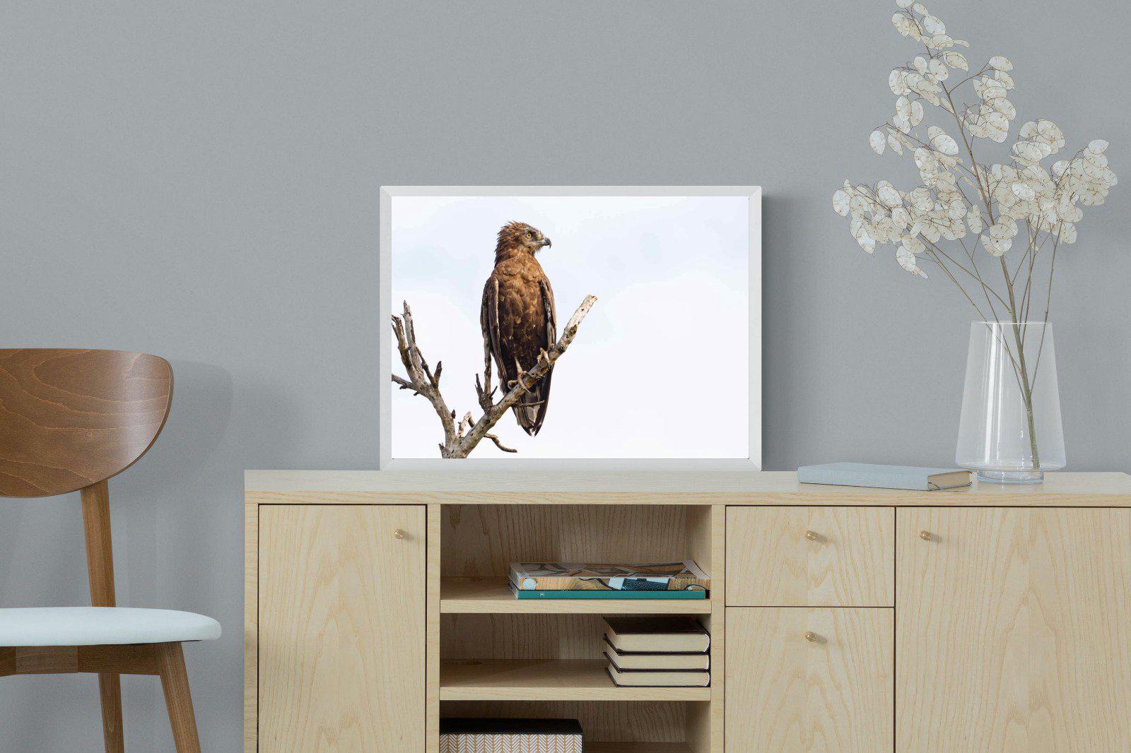 Perched-Wall_Art-60 x 45cm-Mounted Canvas-White-Pixalot