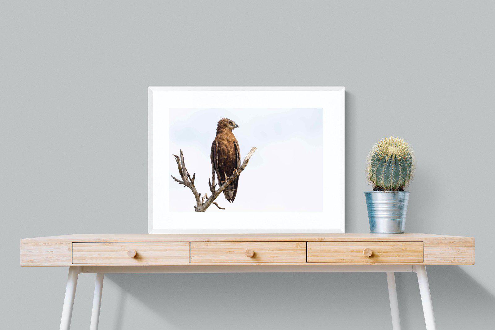 Perched-Wall_Art-80 x 60cm-Framed Print-White-Pixalot