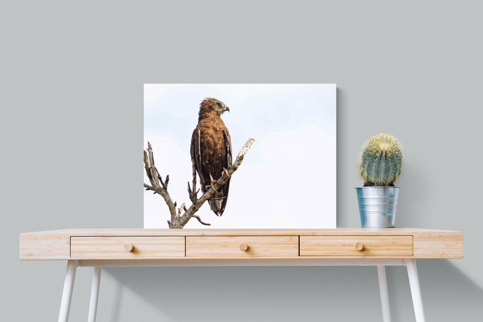 Perched-Wall_Art-80 x 60cm-Mounted Canvas-No Frame-Pixalot